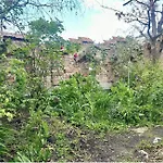 Eden Garden Apartment With Terrace & Bbq
